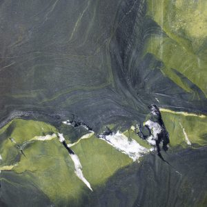 Natuursteen Kwartsiet Keukenbladen Avocatus