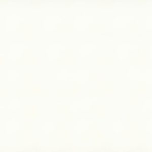 Caesarstone 1111 Vivid White Composiet Aanrechtbladen