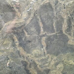Jaguar Granite