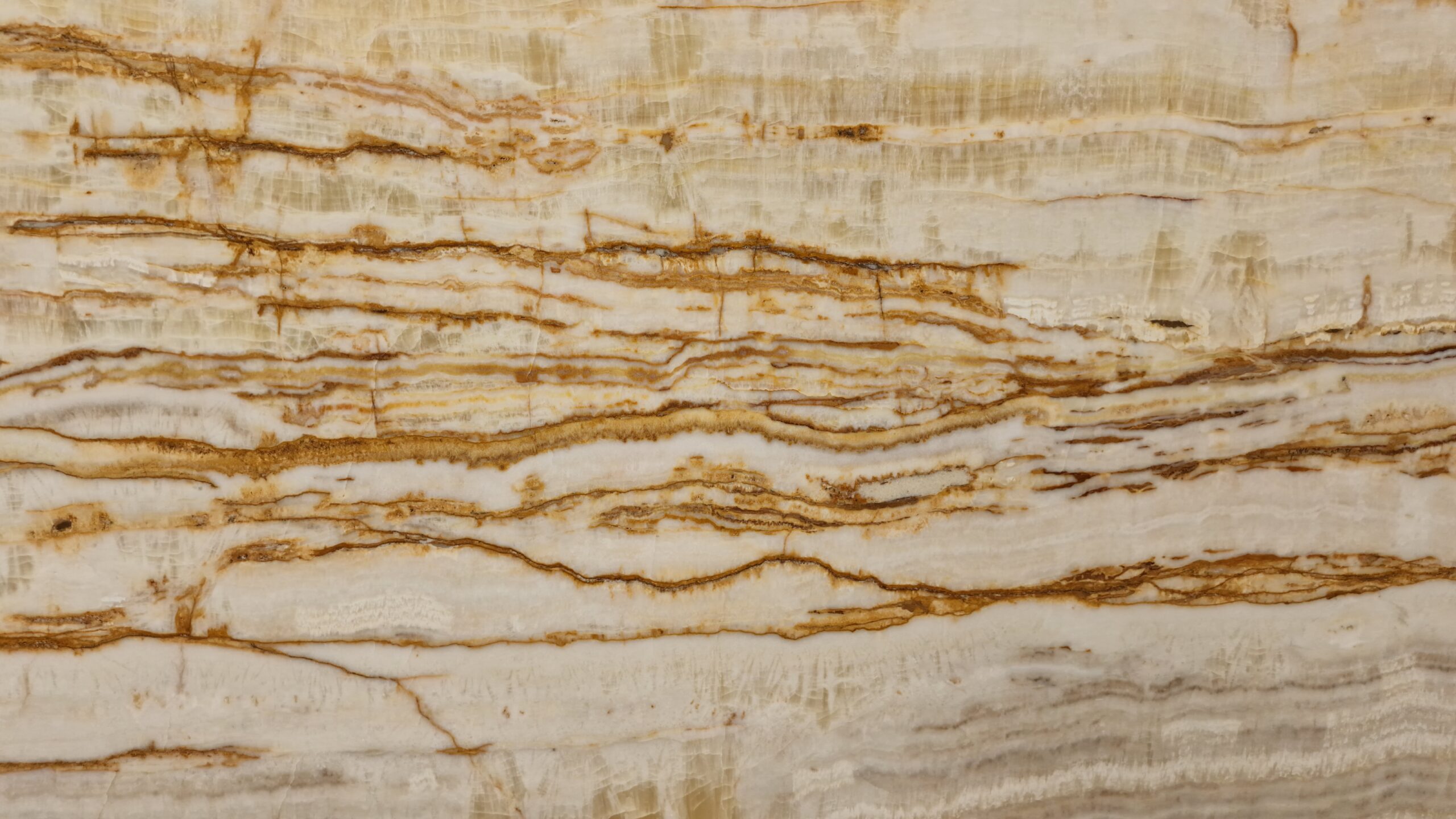 White Gold Traonyx - Afbeelding 3