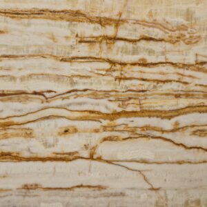 White Gold Traonyx