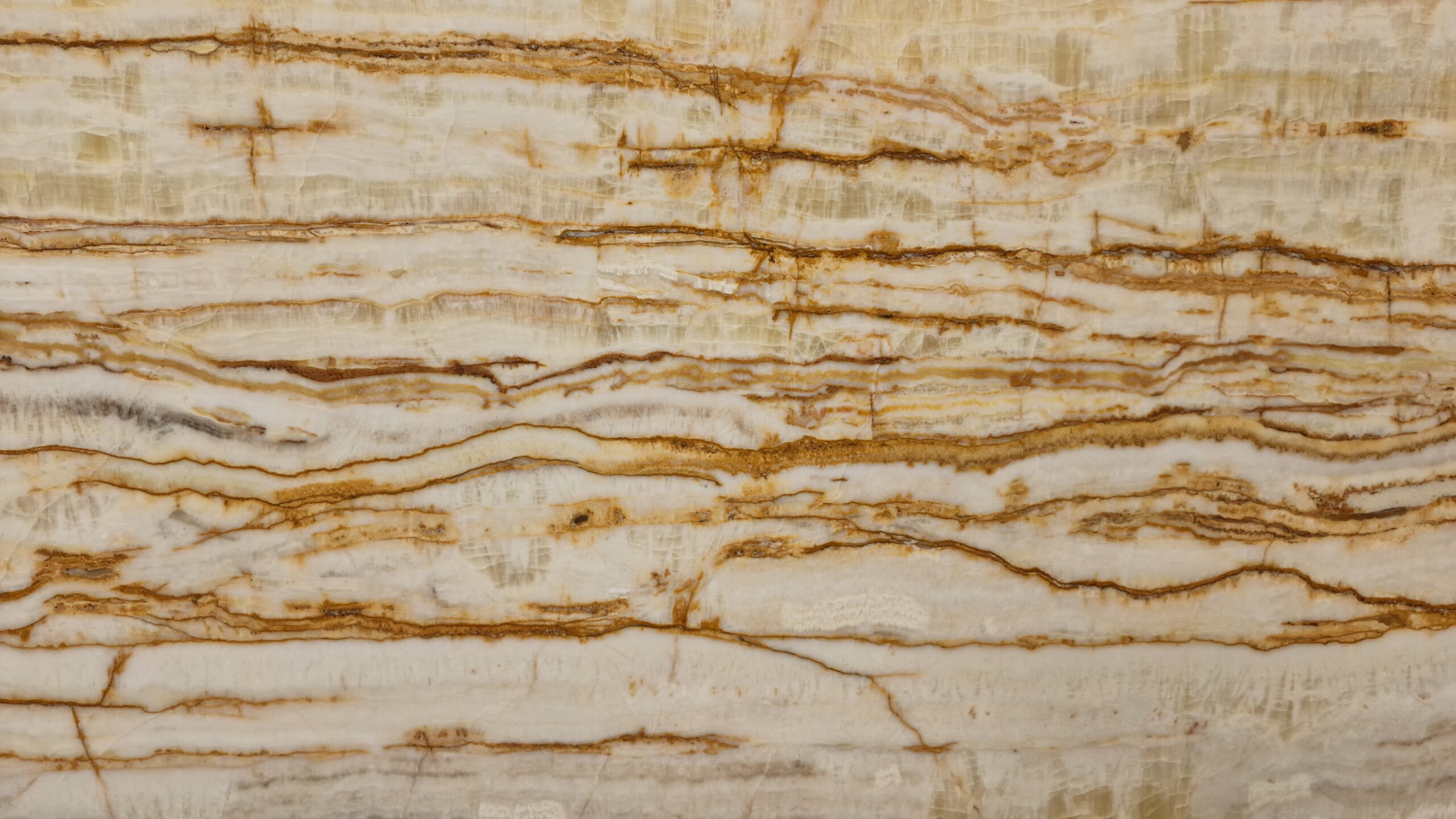 White Gold Traonyx
